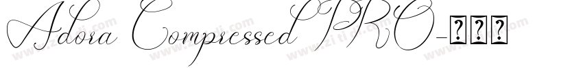 Adora Compressed PRO字体转换